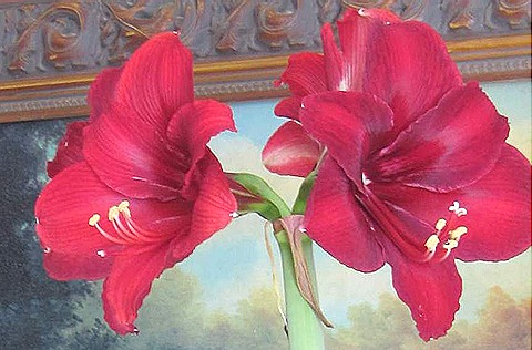 [blooms27.jpg]