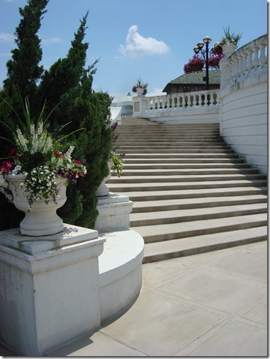 steps