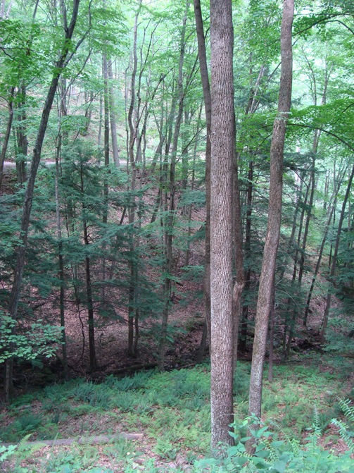 [DSC04287[1].jpg]
