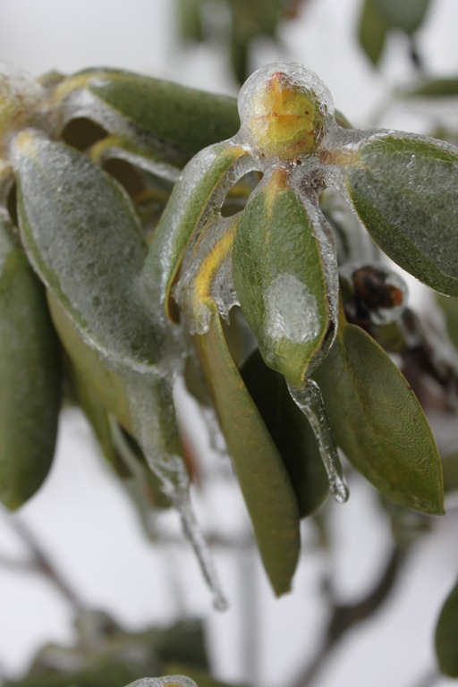 [2011_02_02_1216[1].jpg]