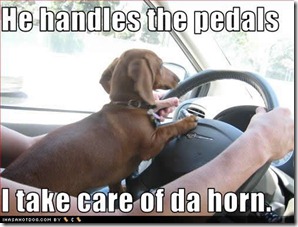 funny-dog-pictures-handles-pedals