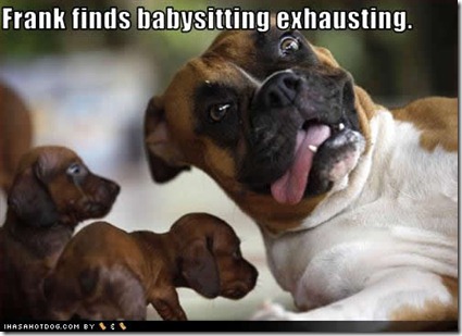funny-dog-pictures-babysitting-exhausting