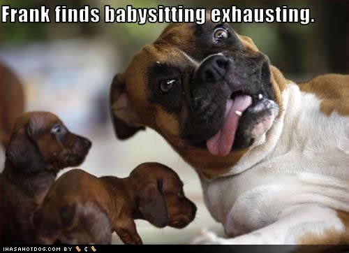 [funny-dog-pictures-babysitting-exhausting[3].jpg]