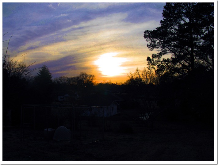 IMG_1149 copy