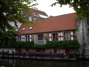 Brujas Brujas