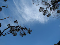 IMG_3674.JPG
