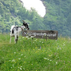 foto Liborio Butera