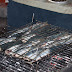 IMG_1887.JPG