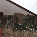 DSCF7363.JPG