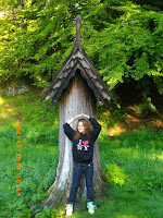 IMGP2449.JPG Photo