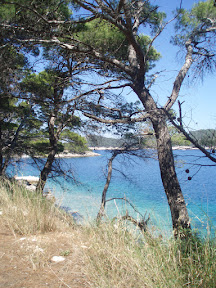 P1010135.jpg