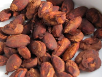 Cocoa roasted almonds recipes
