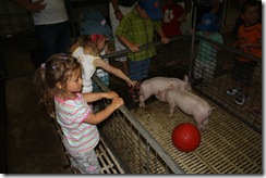 IMG_4587 IMG_4587