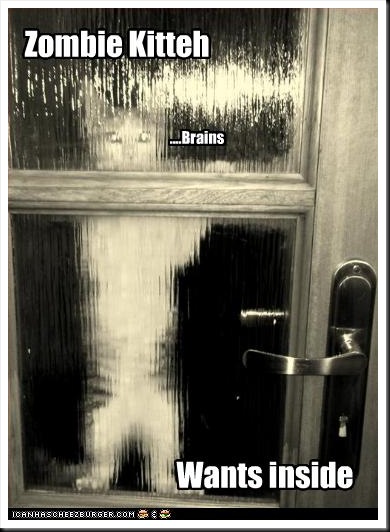 funny-pictures-cat-is-a-zombie