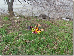 IMG_0792 IMG_0792