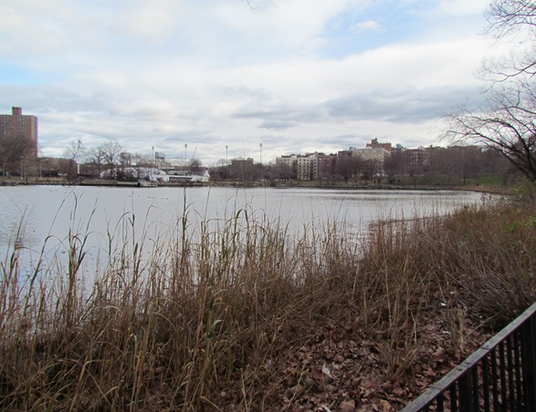 IMG_0866 IMG_0866