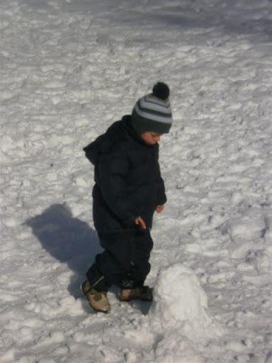 http://lh6.ggpht.com/_QOcfkF2Z8iw/S5o4edLSzwI/AAAAAAAAAPc/sIzchBYknWY/s512/P2220020.JPG
