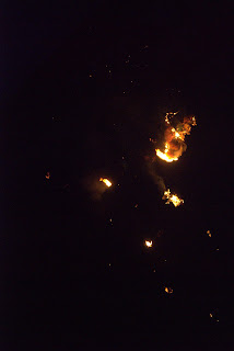 DSC_4245.jpg