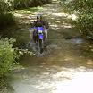 The Gecko Run - IMG_0002.JPG