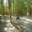 The Gecko Run - DSCF4738.JPG