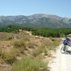 The Gecko Run - DSCF4626.JPG
