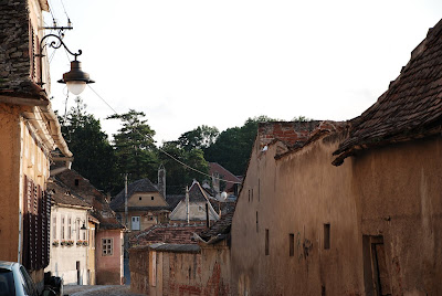 DSC_2895.JPG