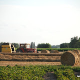 moisson campagne 2009