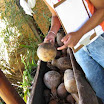 Fazenda Cabaceiras