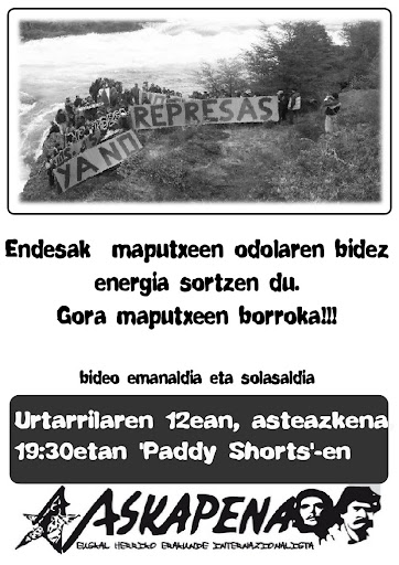 mapuches contra endesa