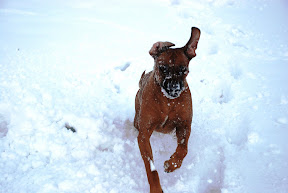 DSC_0362.JPG DSC_0362.JPG