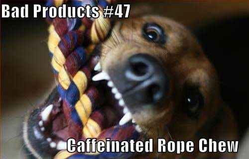 [funny-dog-pictures-caffeinated-rope-chew[2].jpg]