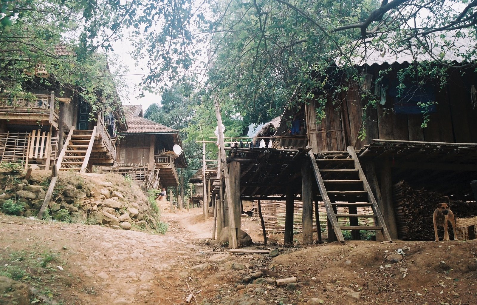 [CNV0000016.jpg]