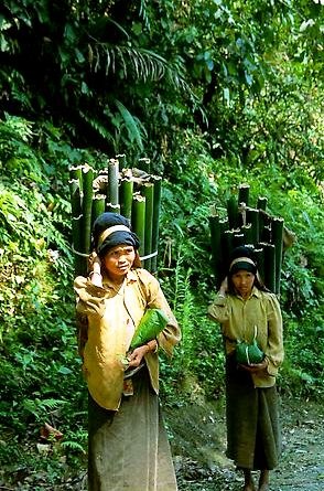 [viet78691.jpg]
