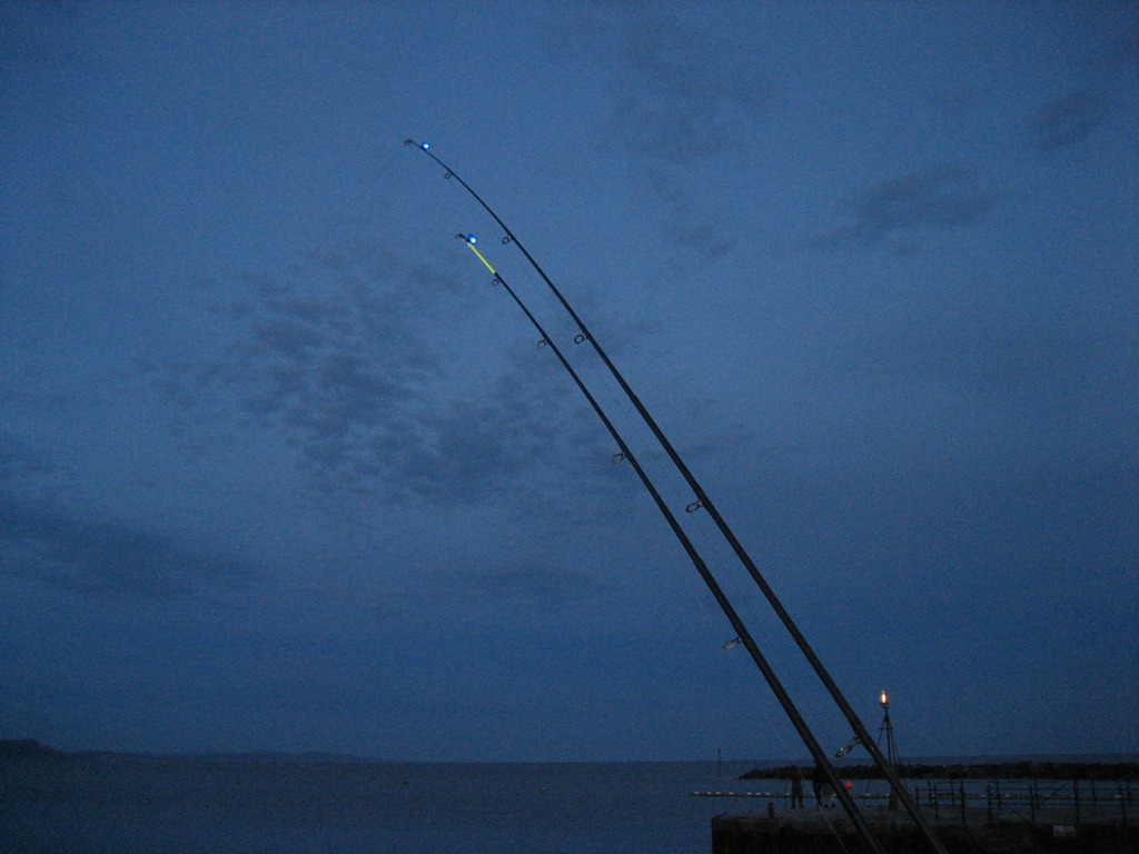 [Lyme Regis Fishing 28th May 2010 18[3].jpg]