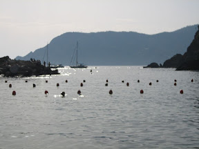 IMG_8583.JPG