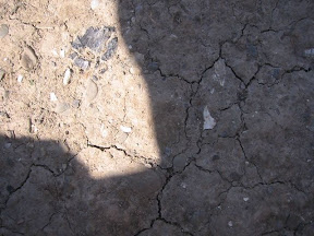 Auschwitz II Birkenau (36)_jpg.jpg