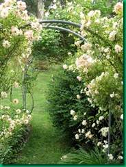 rose-garden-arch