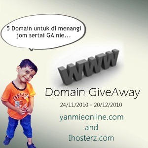 [domain-giveaway1[3].jpg]