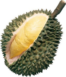 [durian[5].jpg]