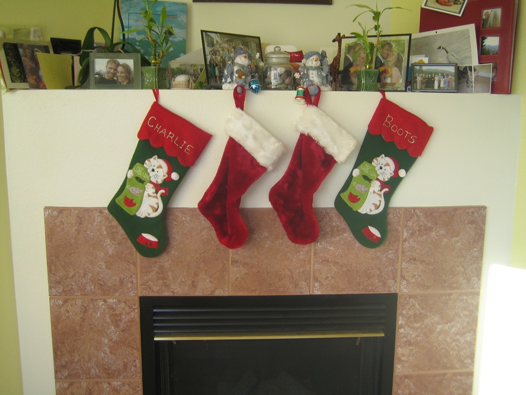 [IMG_5341[1].jpg]