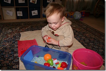 IMG_4914 IMG_4914
