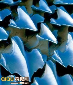 [110119145644226[2].jpg]