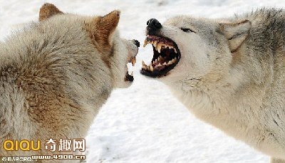 [101228135668772[2].jpg]