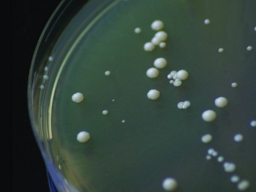 [W020100916466384519104[3].jpg]