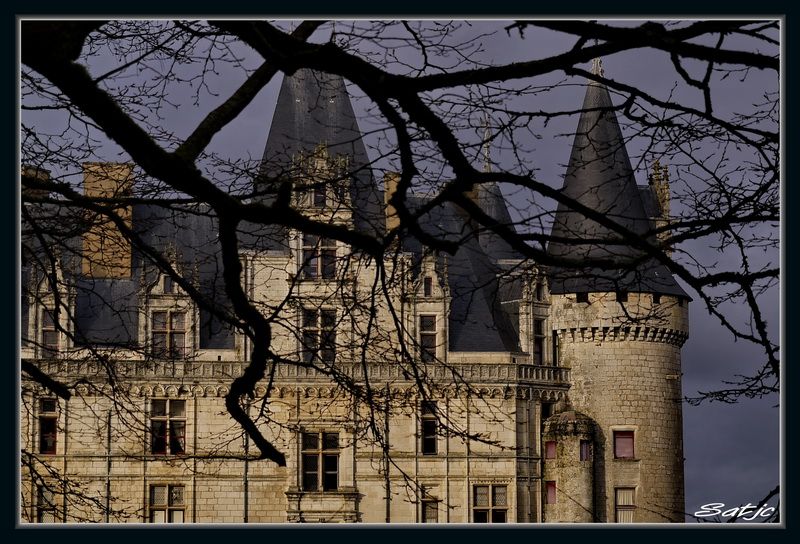 Le Château de La Rochefoucauld apres la tempête (Charente) _1030396