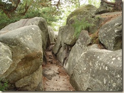 fissure_rochers_Apremont fissure_rochers_Apremont