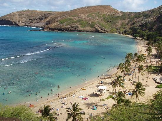 [hanauma-bay-from-the[4].jpg]