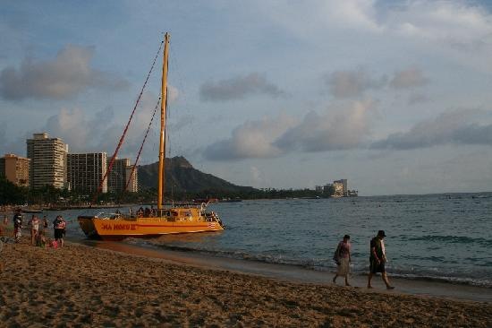 [waikiki-beach[3].jpg]