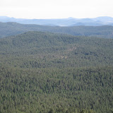 IMG_0140.JPG