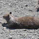 IMG_0424.JPG